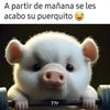 Jeró