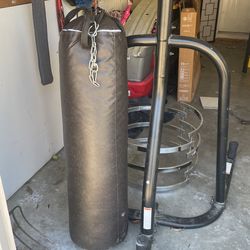 Everlast Boxing Bag And Stand 