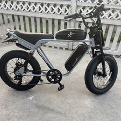Dual Battery 750w 48v Electric Bike 