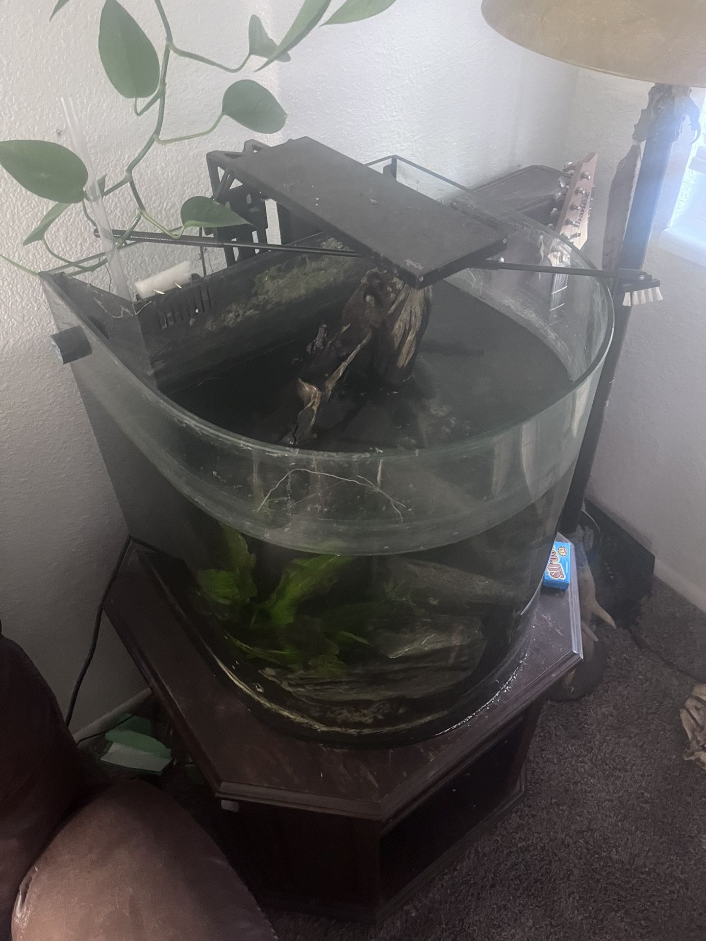 Glass 30-40 Gallon Half Round All In One Fishtank  