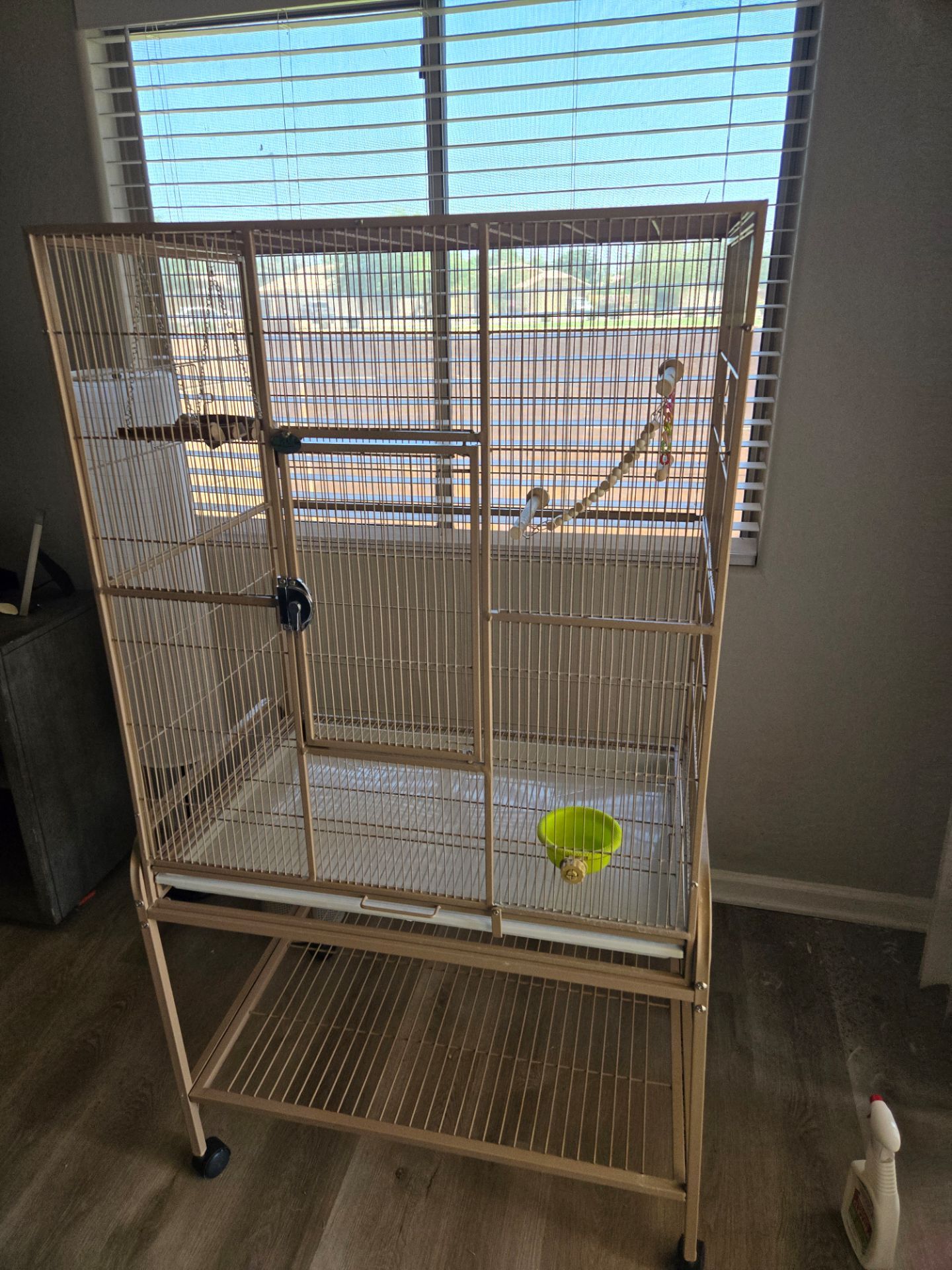 Bird Cage