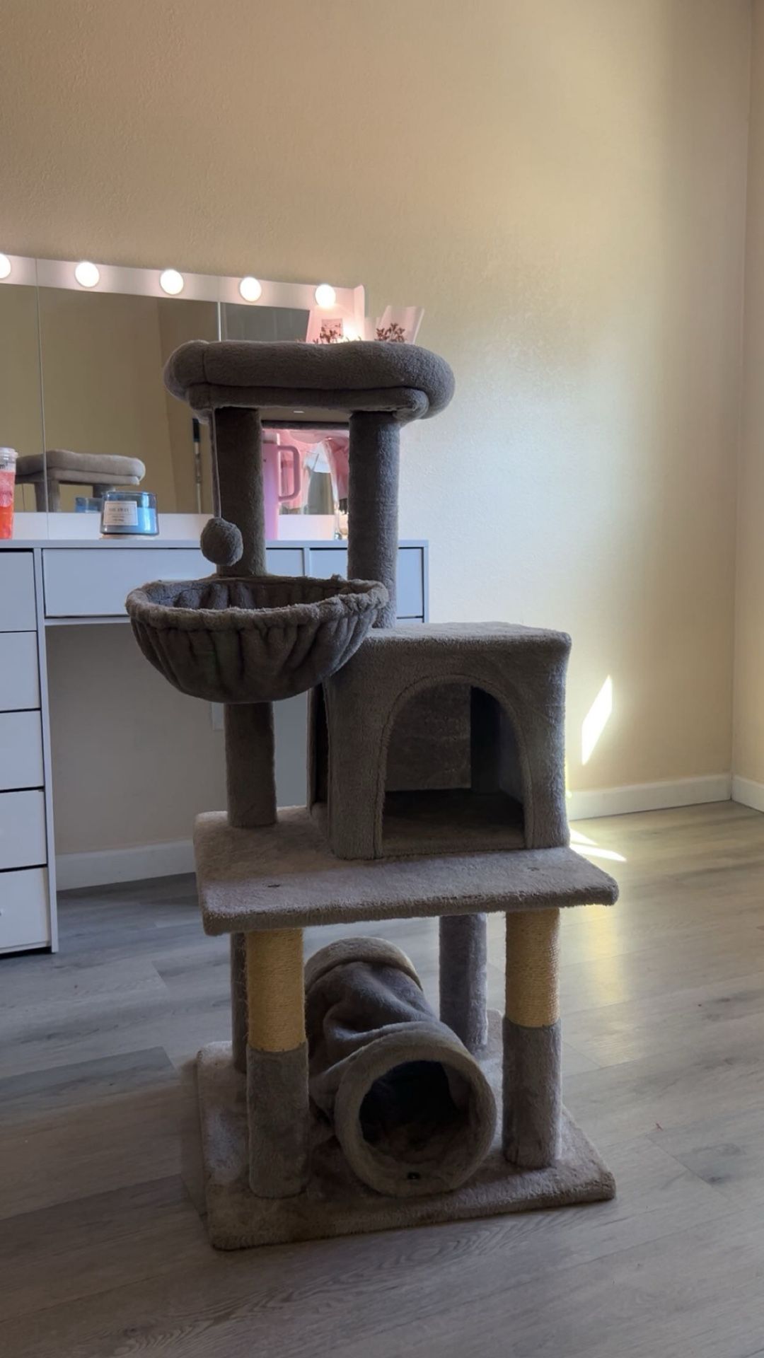 cat House 