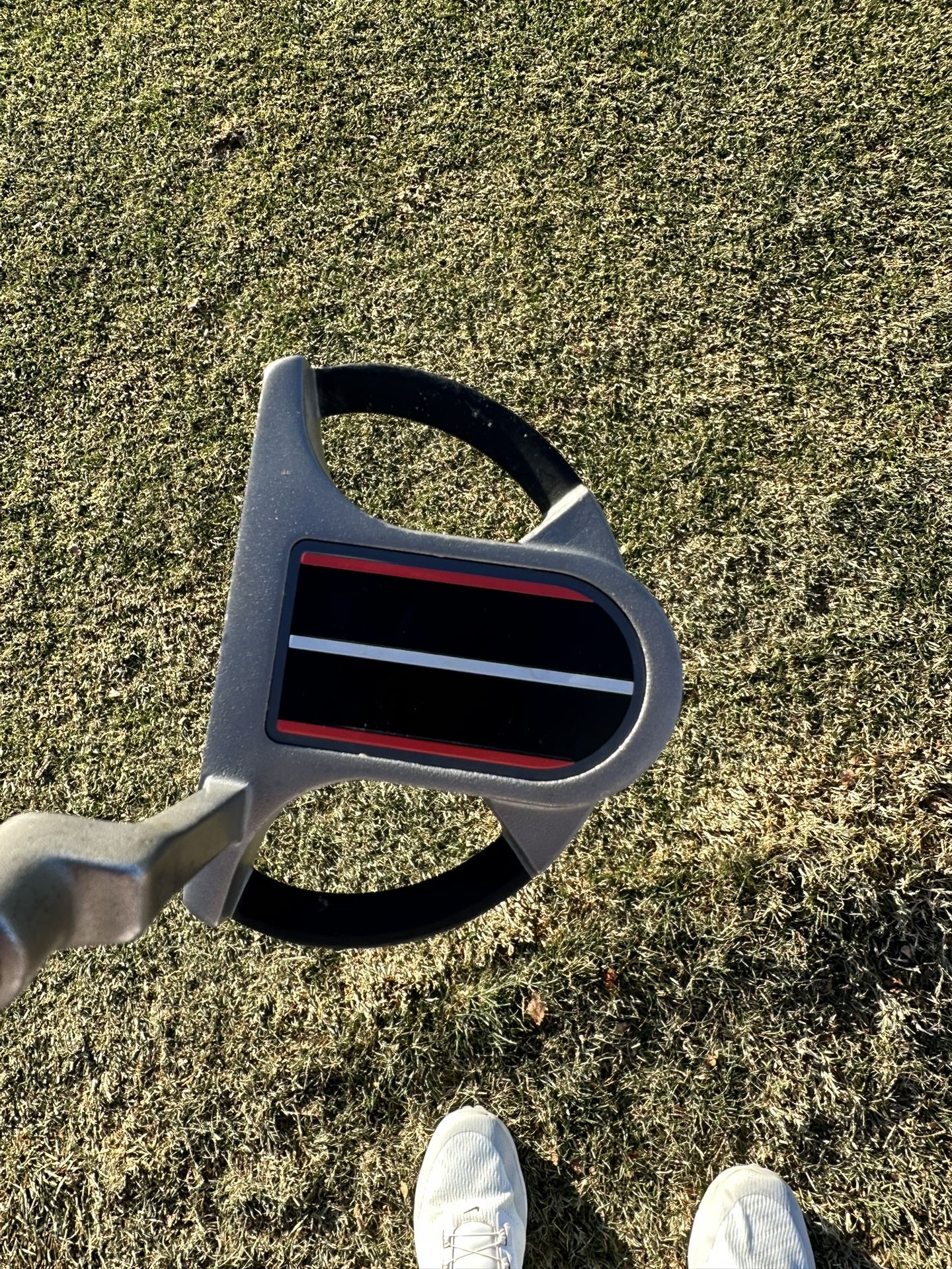Tiger Shark Green Speed Putter