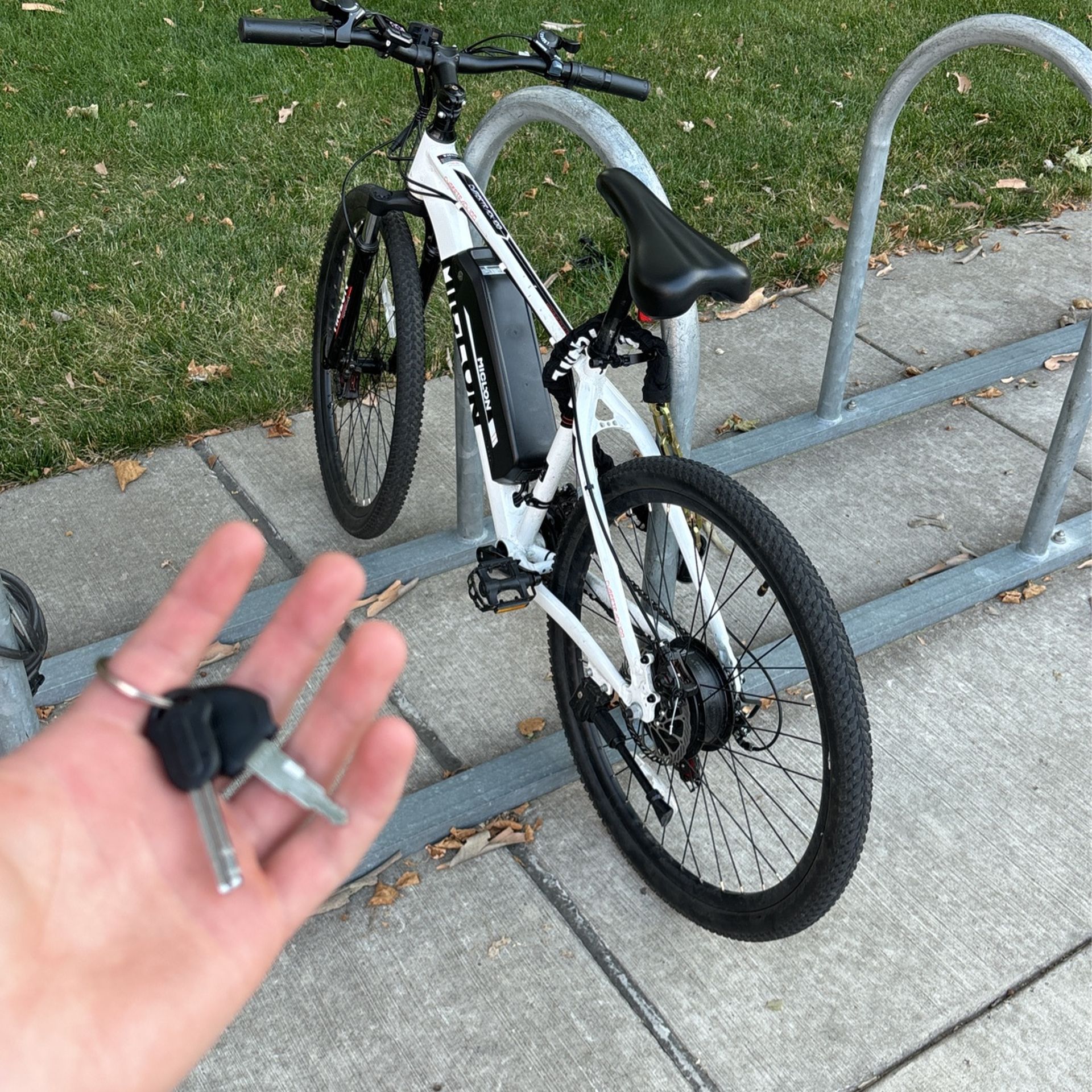 Michelon E-bike