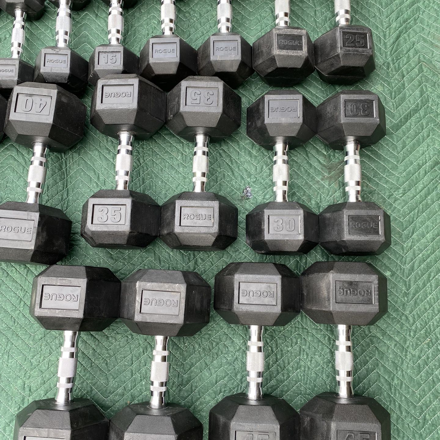 Dumbbells for online sale rogue