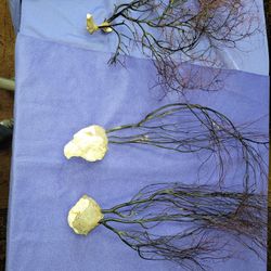 Dried Natural Black Coral Sea Tree