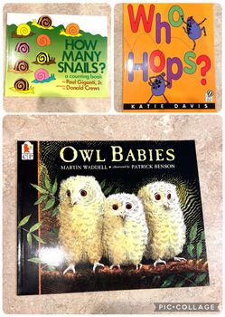 Kids book-NEW-owl babies, animal movement, counting, math, science, reading, Classroom, teacher