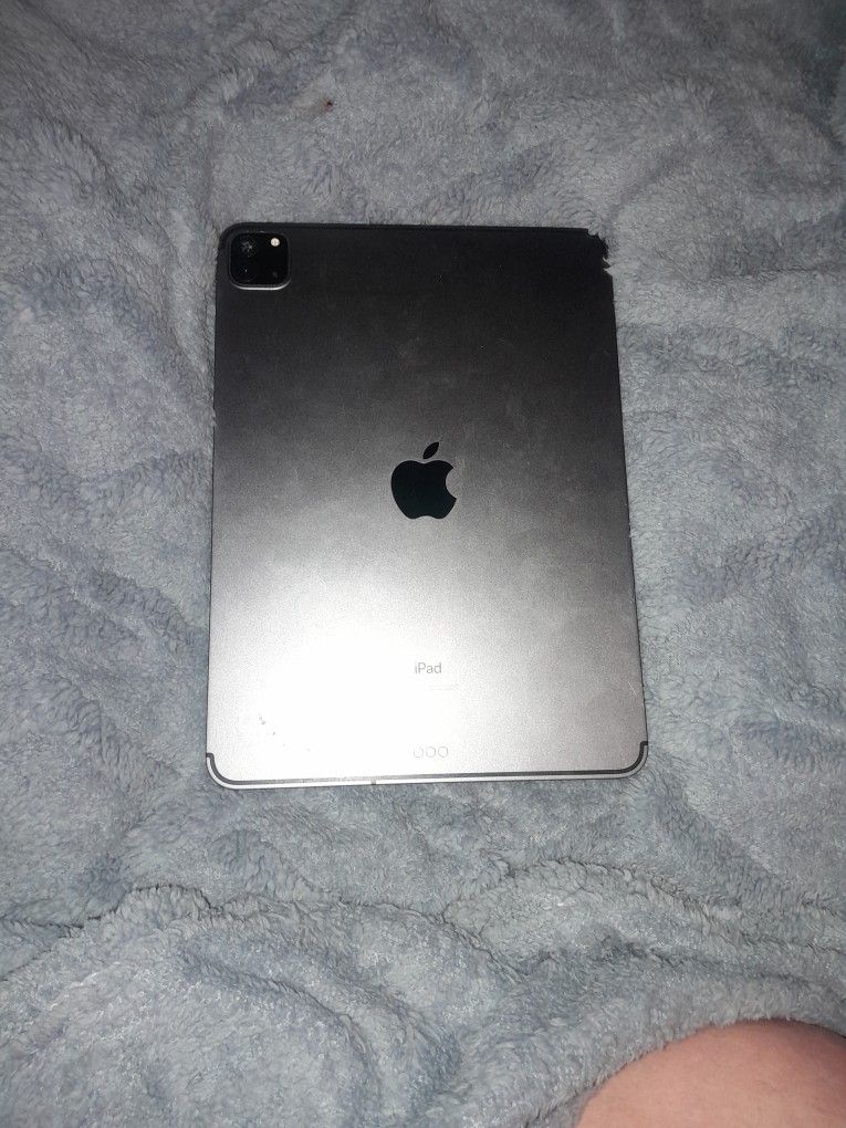 iPad 11 Pro GEN 2 Was working perfectly last week but it won't charge now.