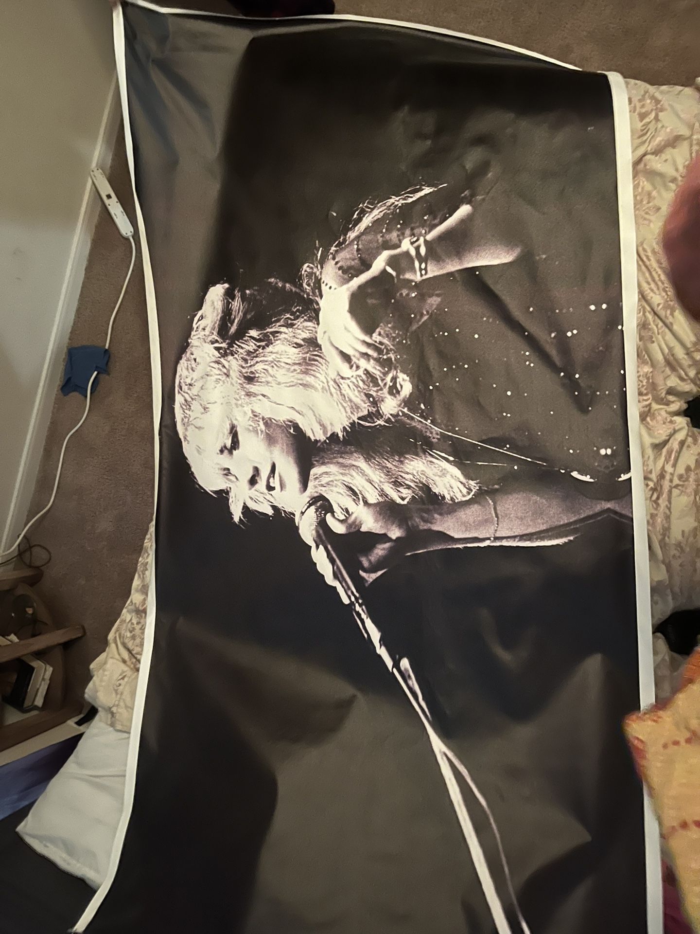 Stevie Nicks Canvas Poster