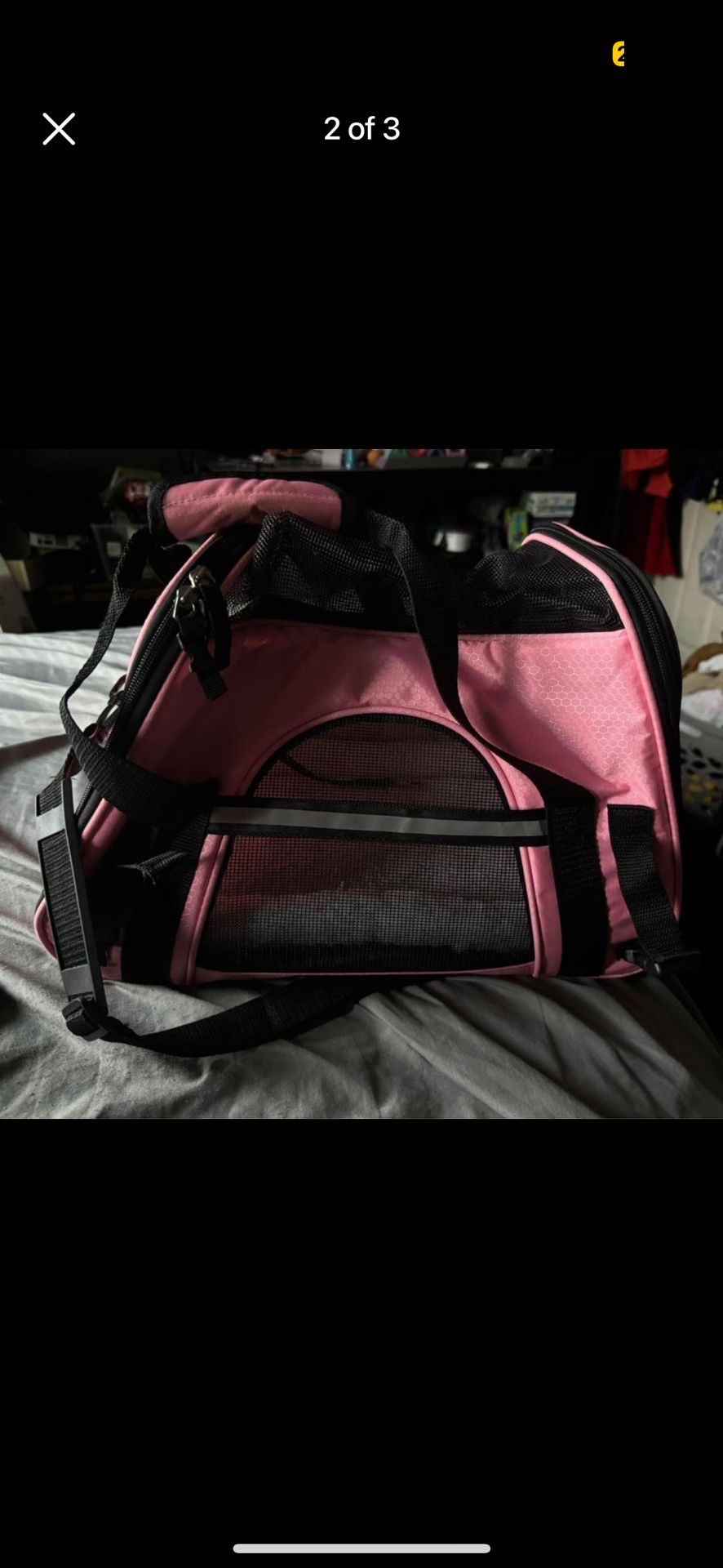 Travel Bag For Small Cat 