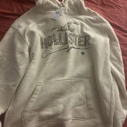Hollister Sweater Men