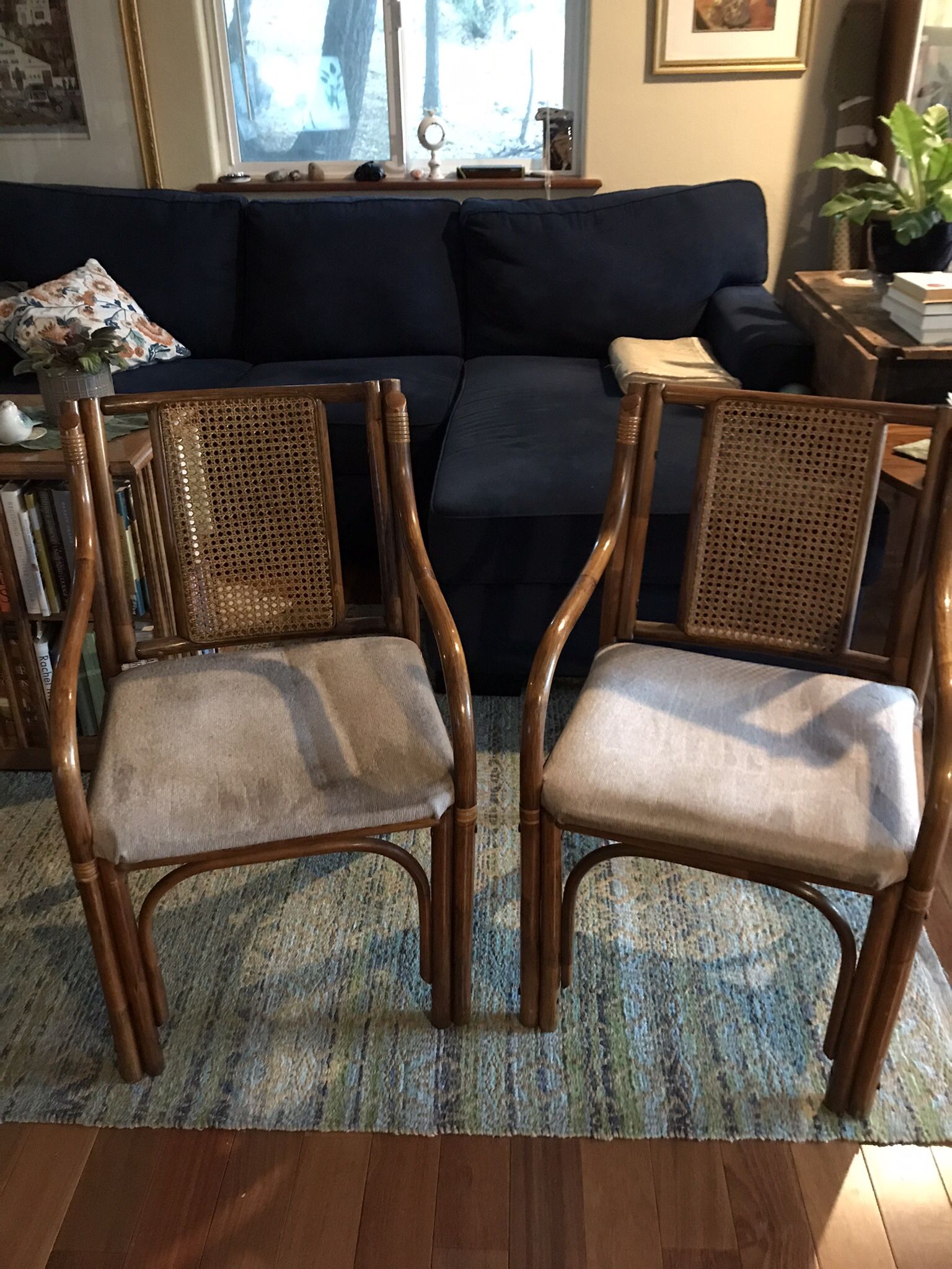 Caned Backed Rattan Chairs