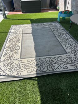 Big area rug