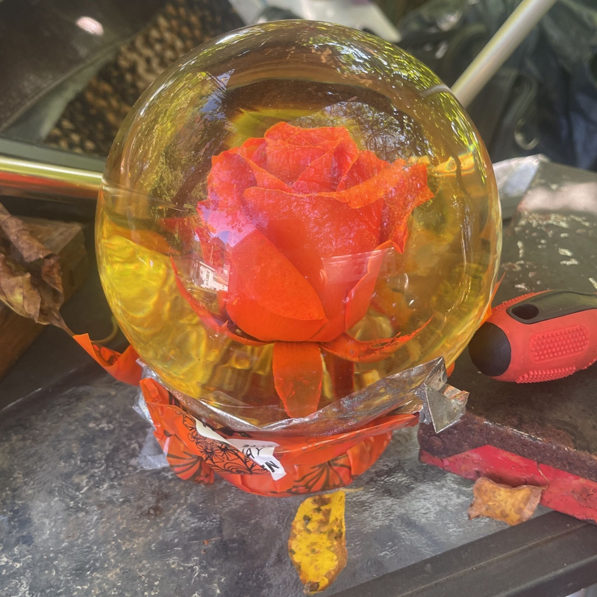 Rose In Globe