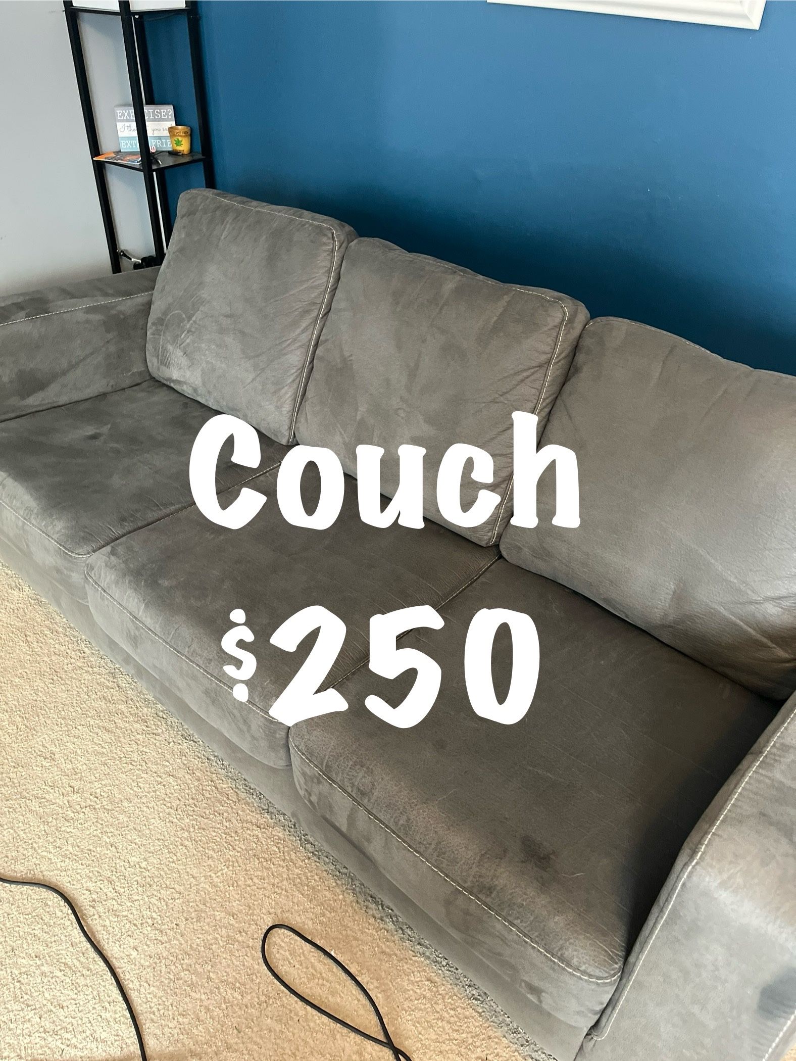 Microfiber Couch