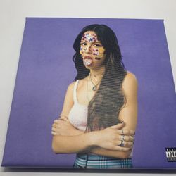 BRAND NEW SOUR OLIVIA RODRIGO ALBUM COVER CANVAS ART