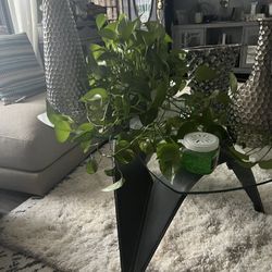 Very Elegant Looking area Rugs