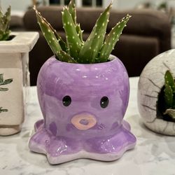 💜 Very Cute Octopus Ceramic Planter  🐙 w Succulent 🪴 