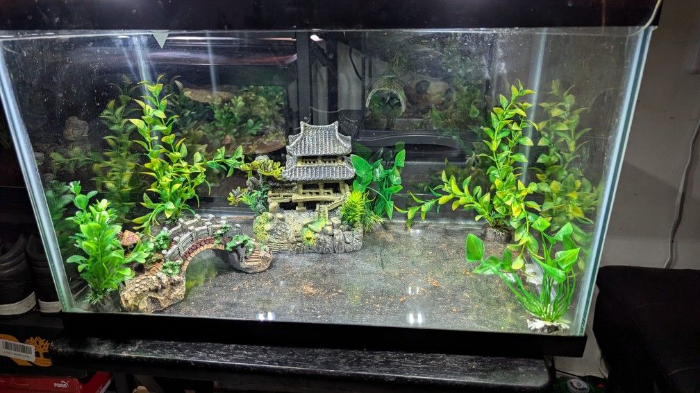 Fish Tank 