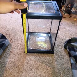 Invertebrate enclosure