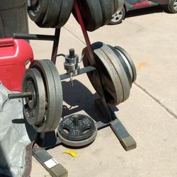 Bench...and Bar... And Tree...of Weights...   500....cash