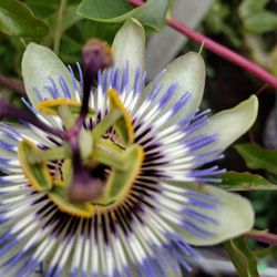 Death / Loss Cleaning