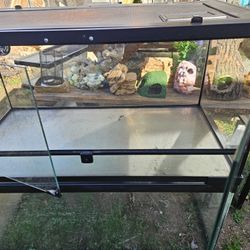 Reptile Enclosures 