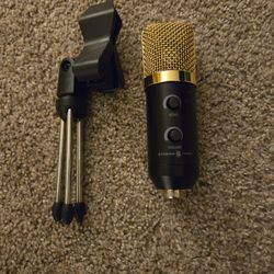 BM-900 condenser microphone