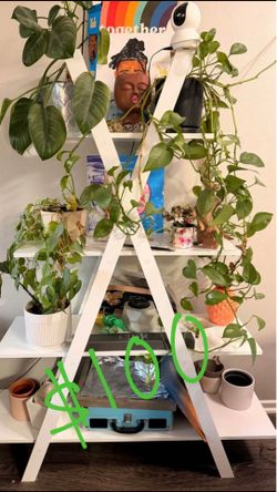 White A Framed ladder bookshelf
