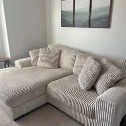 Elegant Sectional Couch