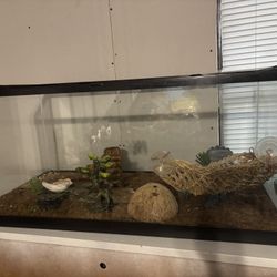 Reptile/Fish tank 