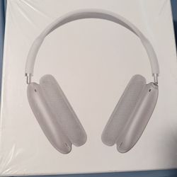Silver Headphones