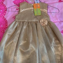 Gold Dress Size 24 M