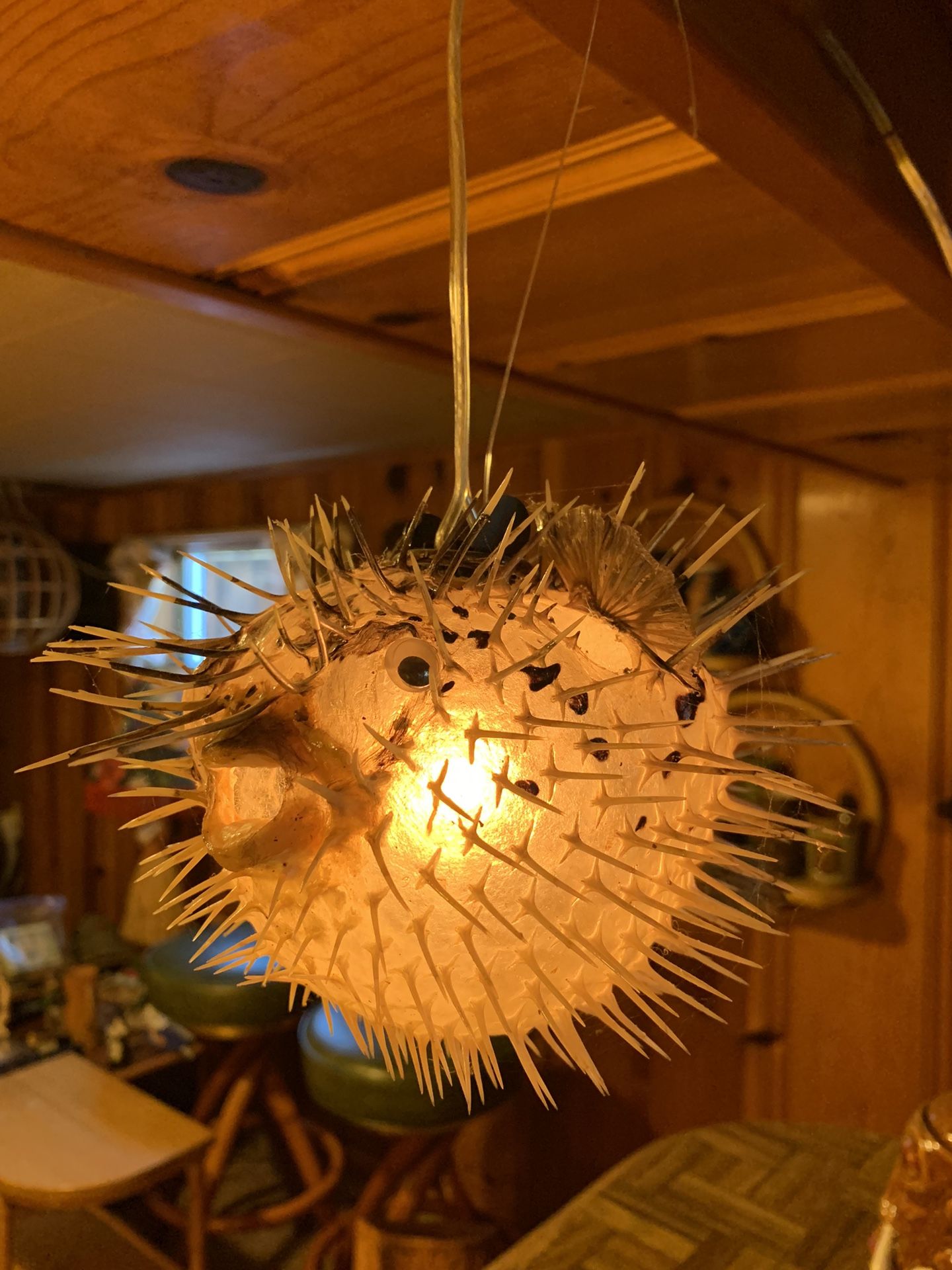 Puffer Fish Taxidermy Light