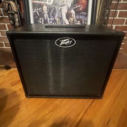 Peavey 1 X 10 Guitar Cab 