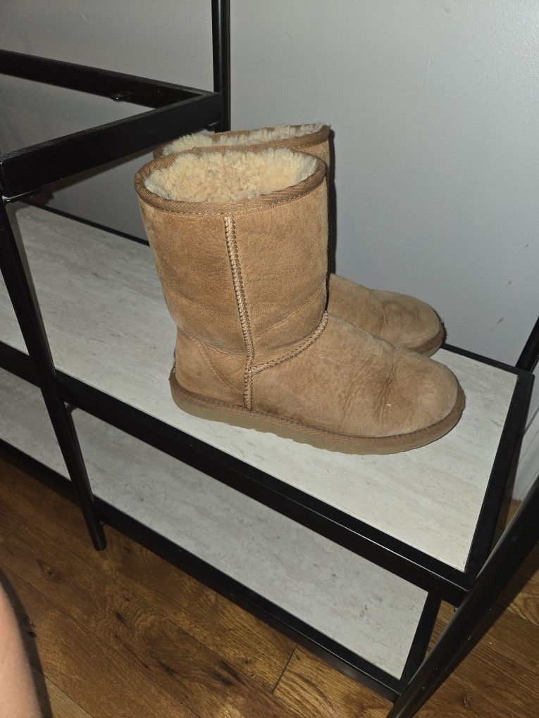 Uggs Boots