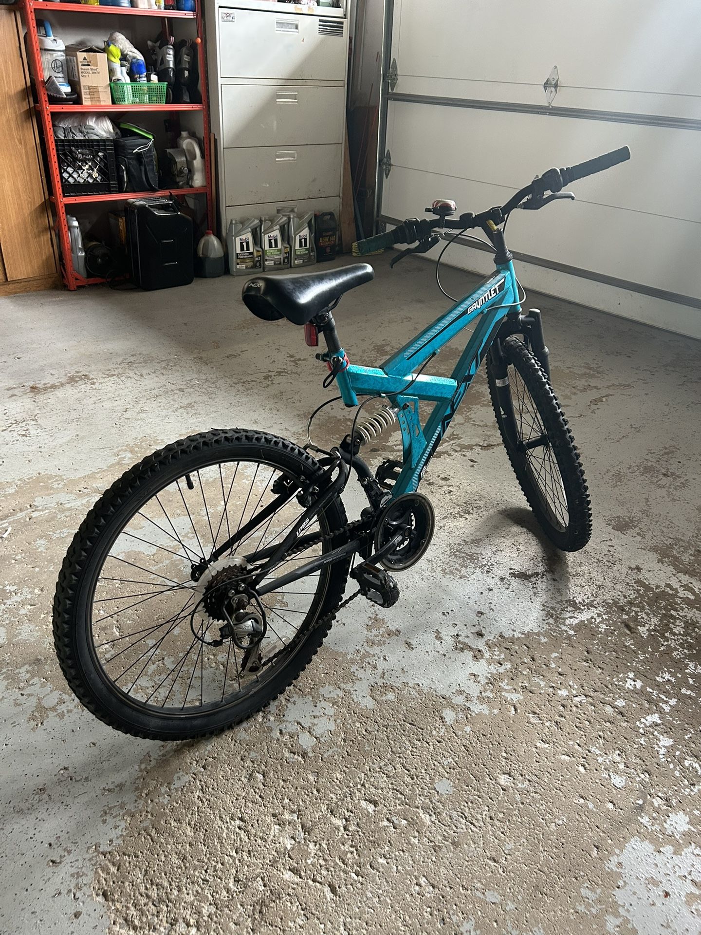 Gauntlet Mountain Bike