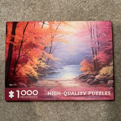 1000 Piece Puzzle