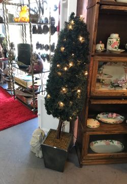 Christmas tree / topiary