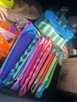 Trader Joe’s Mini Insulated Bags