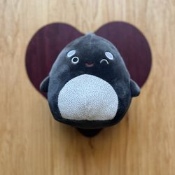 Squishmallows Kai Orca Whale 5" Plush Sparkle Tummy Squishmallow Plushie Toy