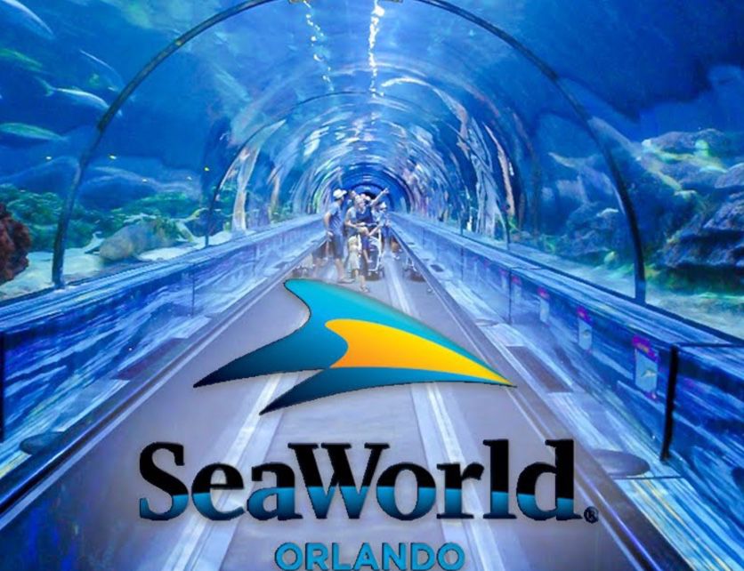 Two Tickets Sea World 2-$30 For Pair