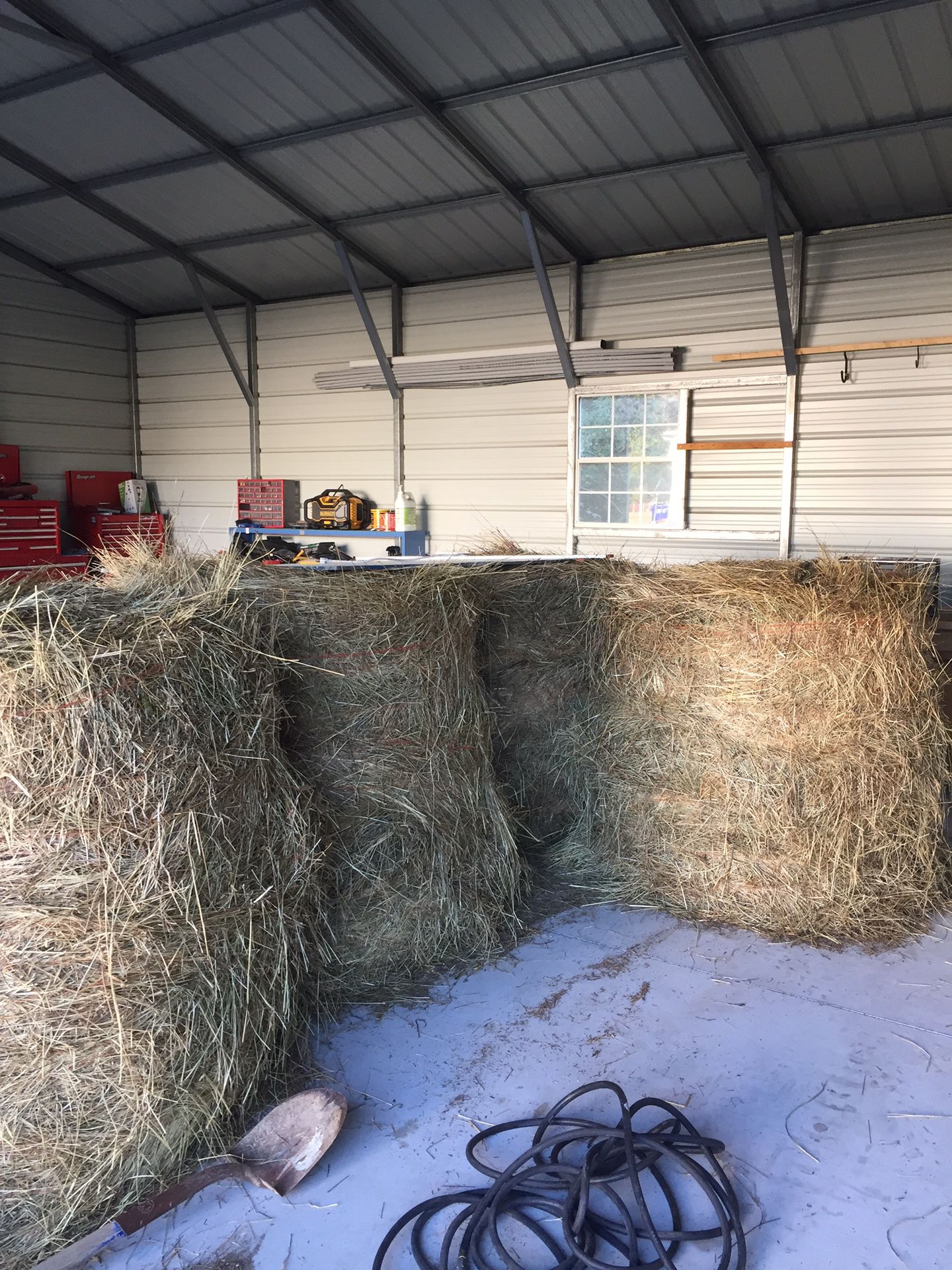Round bales of cow hay