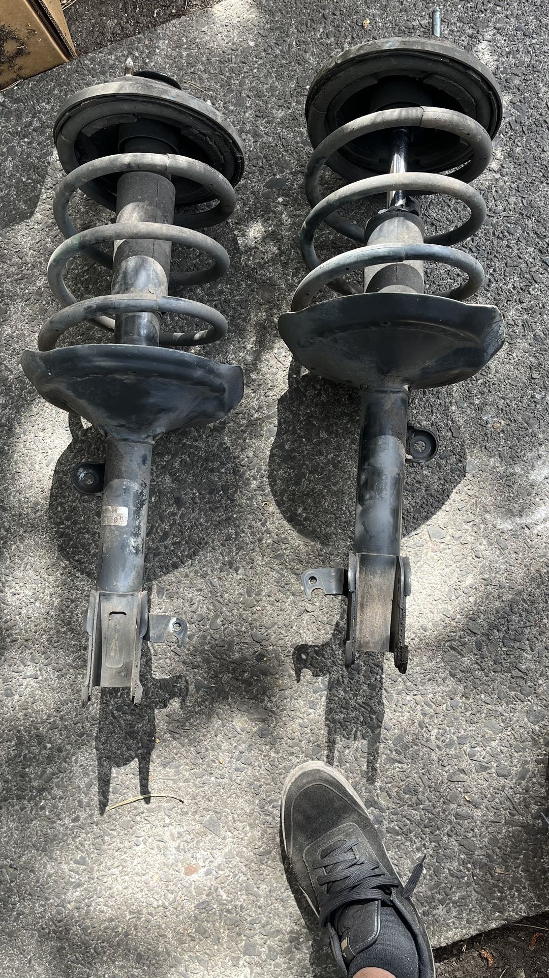 Strut Shock