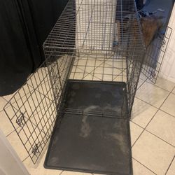 Dog  Cage