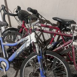 Bicycles For 3. Avalos And Ligero 