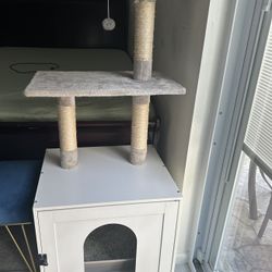 Kitten Supply 