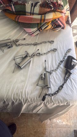 Raccoon traps $60 for all 4