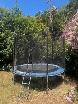 Free trampoline. You take apart and haul away.