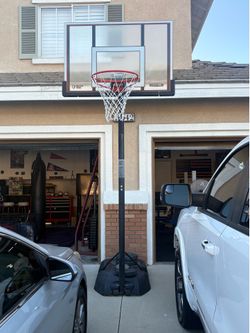 Basketball Hoop and stand.